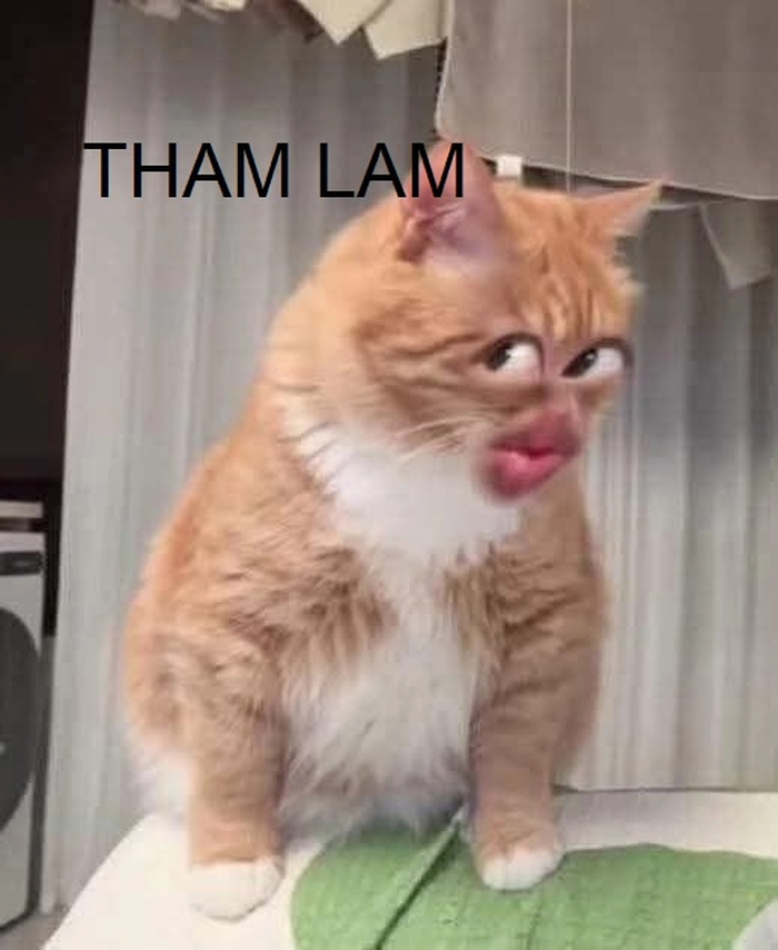Meme tham lam nổi bật trên mạng