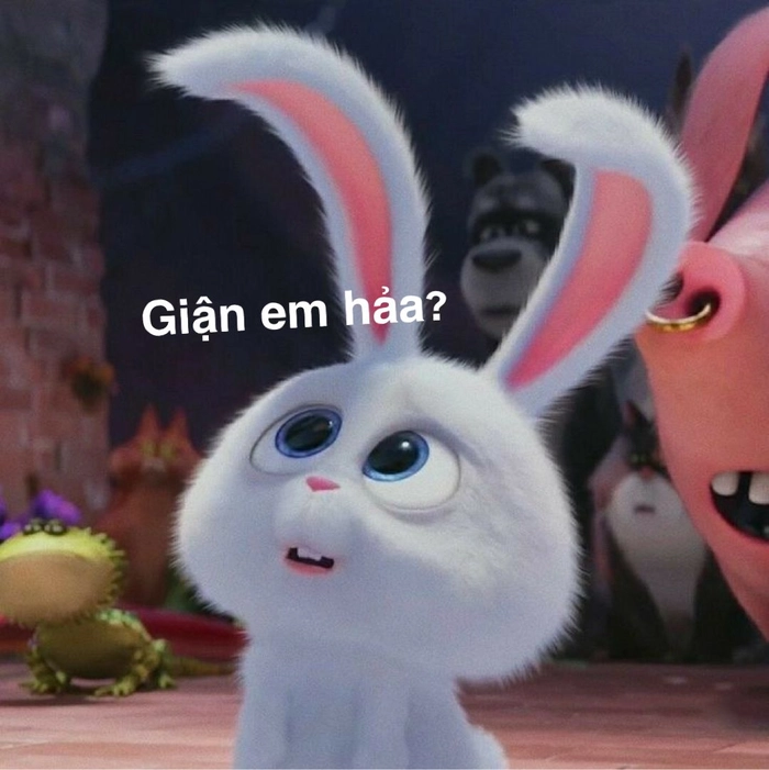 Meme thỏ Snowball cười khó đỡ