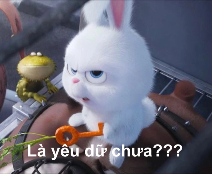 Meme thỏ Snowball cute ngộ nghĩnh