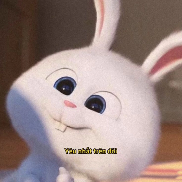 Meme thỏ Snowball đáng yêu hài hước