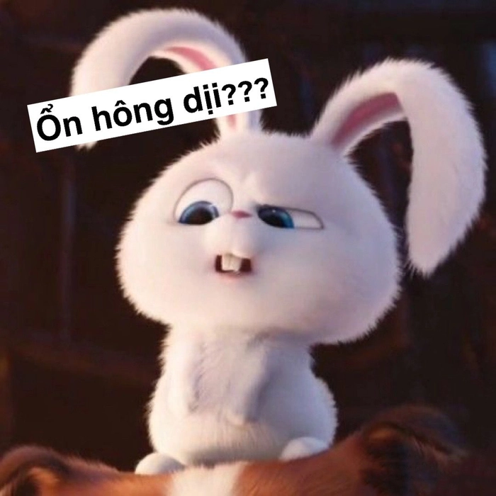 Meme thỏ Snowball troll bạn bè