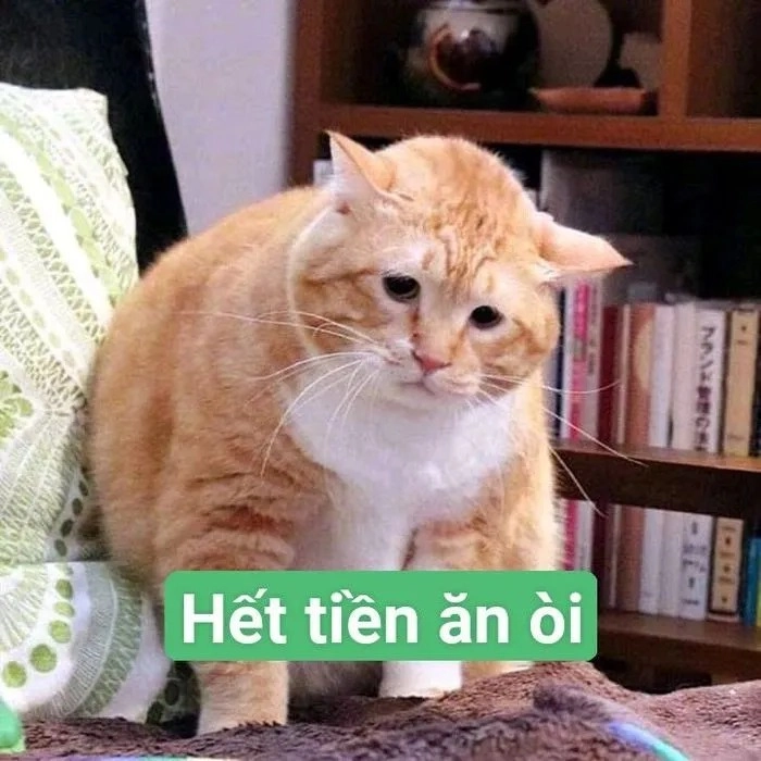 Meme tiền đâu troll bạn bè
