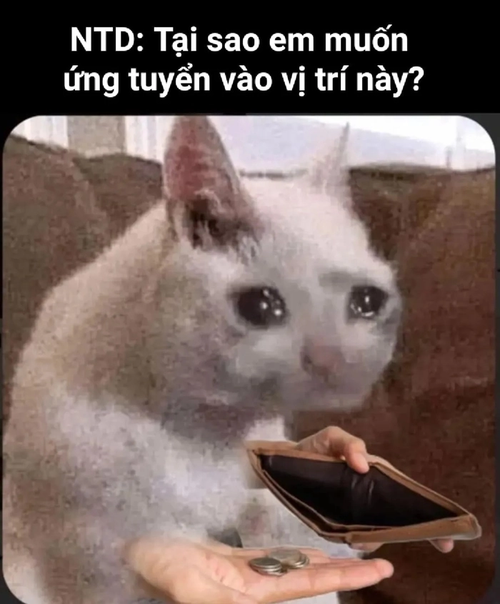 Meme ví hết tiền hot trend