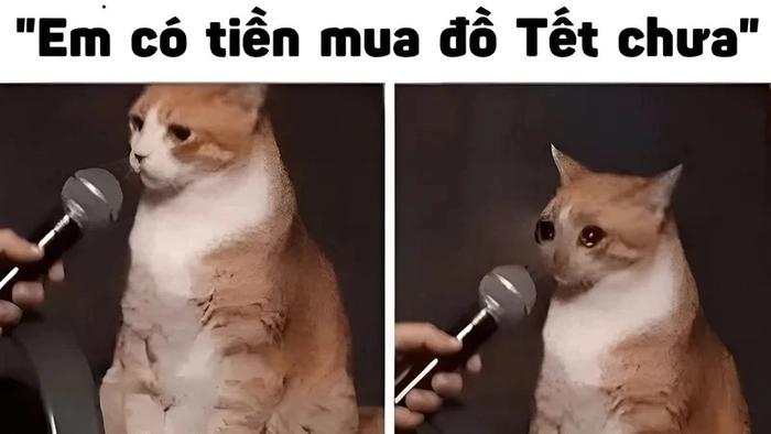 Meme ví hết tiền lầy lội