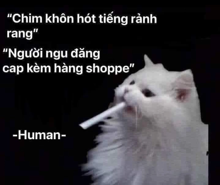 Ngầu meme cực hài hước ấn tượng