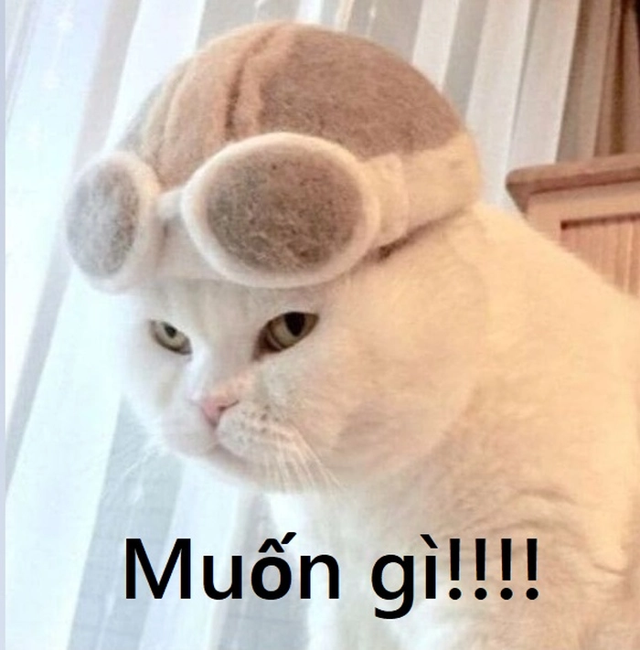 Ngầu meme mang phong cách riêng biệt