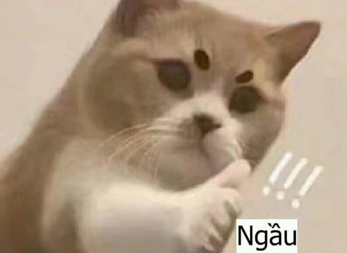 Ngầu meme với kiểu dáng ấn tượng