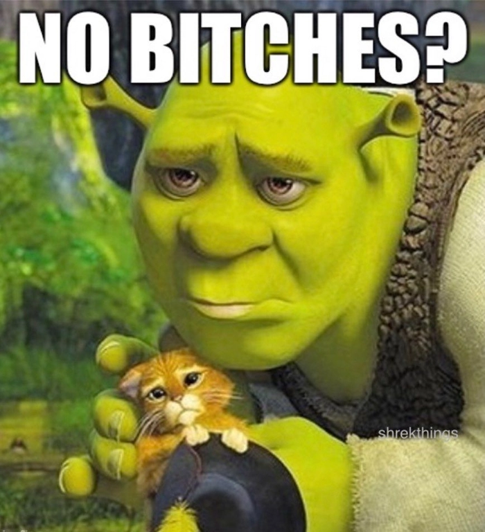 Shrek meme khiến cười ngất