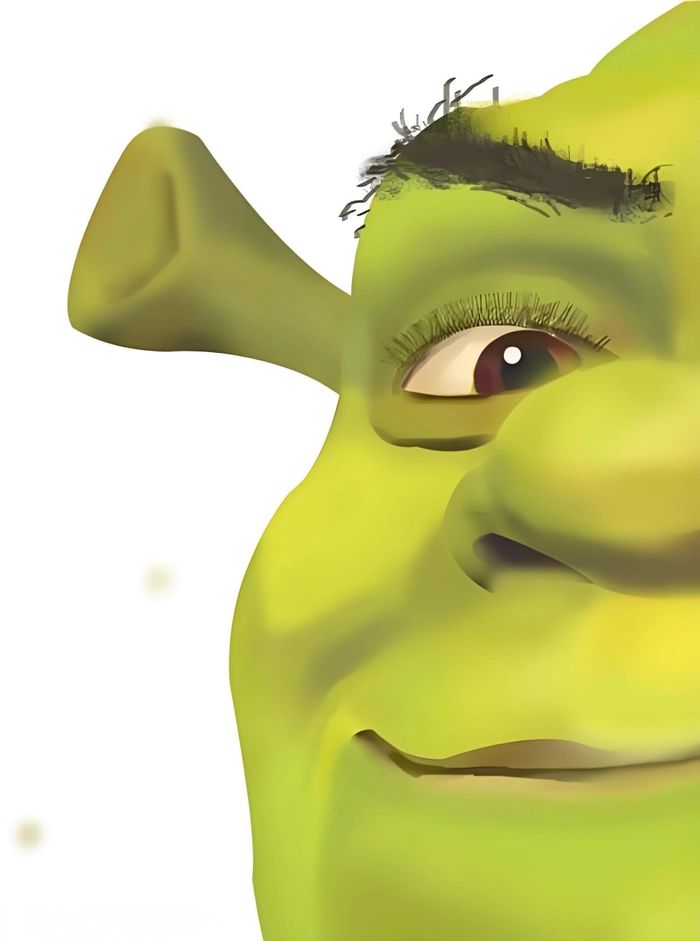 Shrek meme siêu lầy