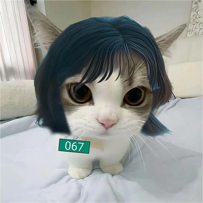 Squid Game meme hài lầy