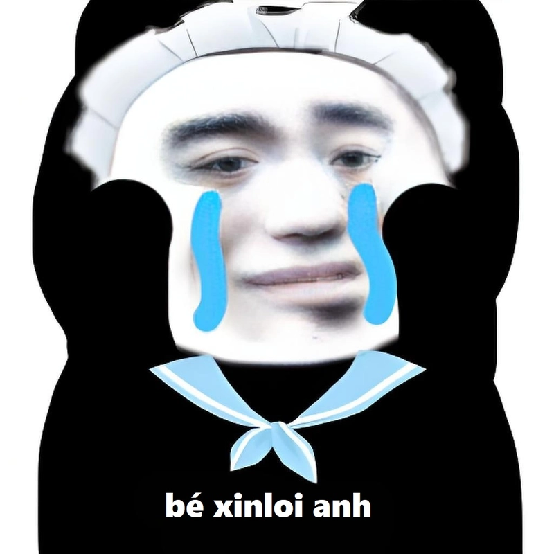 Tải gấu trúc xin lỗi meme chế hài hước