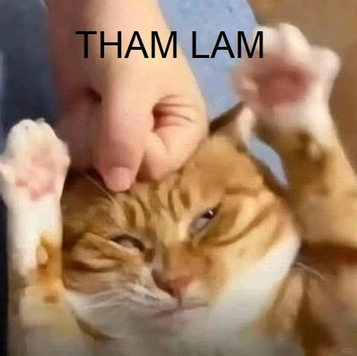 Tham lam meme bá đạo
