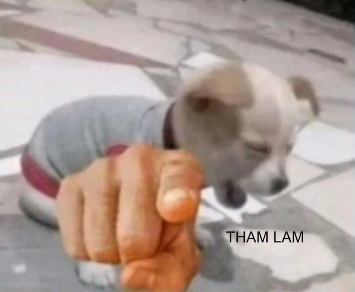 Tham lam meme chất lượng