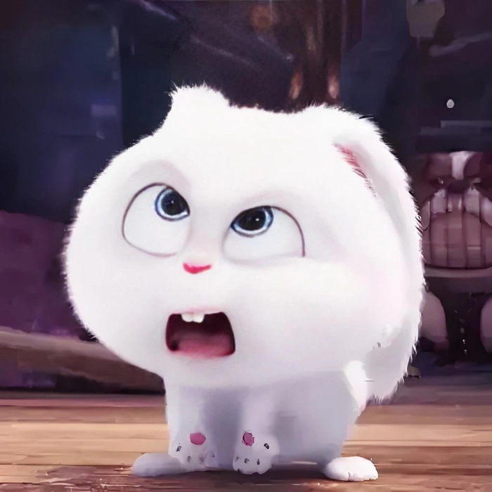 Thỏ Snowball cute dễ thương khó cưỡng