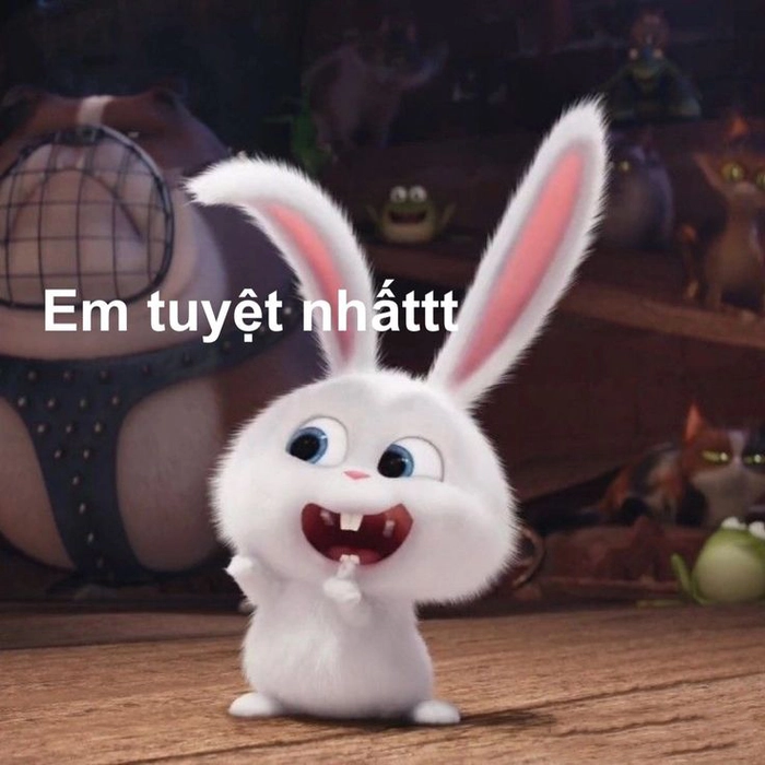 Thỏ Snowball dễ thương đáng yêu