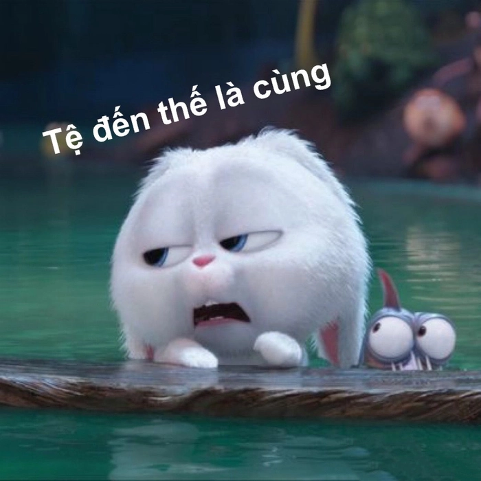 Thỏ Snowball dễ thương ngộ nghĩnh