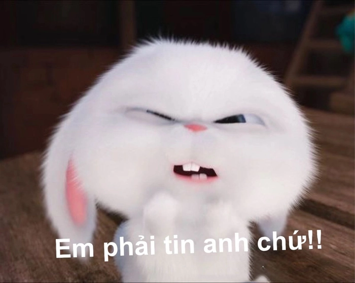 Thỏ Snowball tức giận chế hài hước
