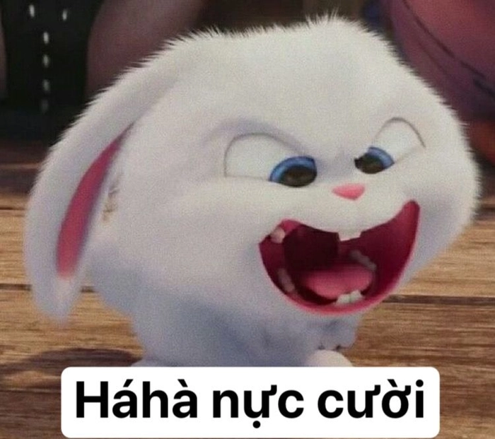 Thỏ Snowball tức giận chế vui