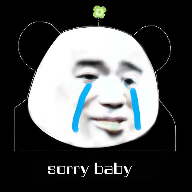 Xin lỗi meme gấu trúc chắp tay đáng yêu