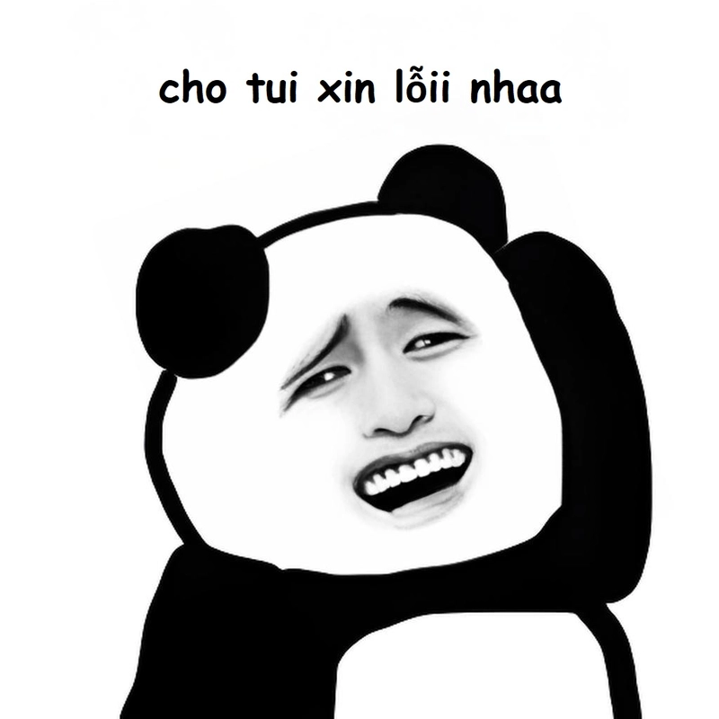 Xin lỗi meme gấu trúc siêu hài trên Facebook