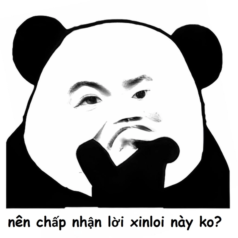 Xin lỗi meme gấu trúc với biểu cảm dí dỏm